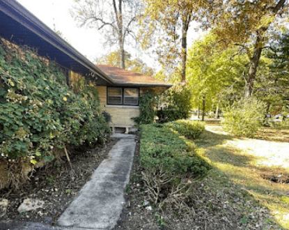 YARD CLEAN-UP